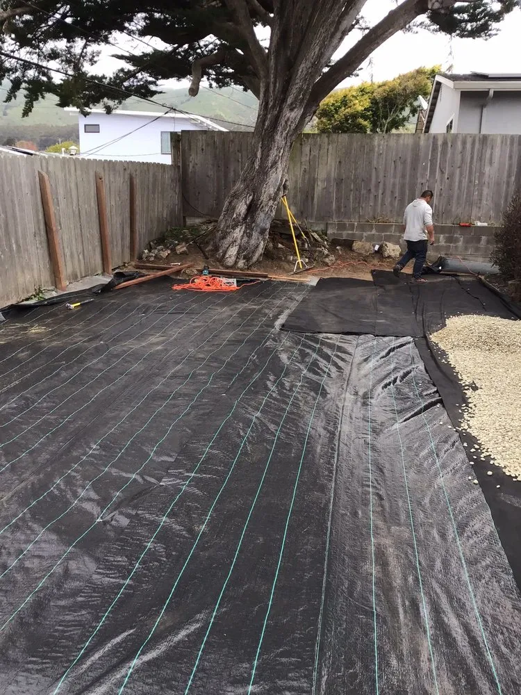 Top-rated yard cleanup service with custom design in San Francisco, CA by Mendoza's Landscaping Services