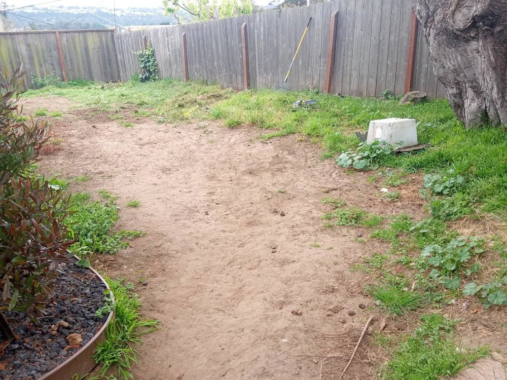 Local residential landscaping for beautiful yards across San Francisco, CA - Mendoza's Landscaping Services