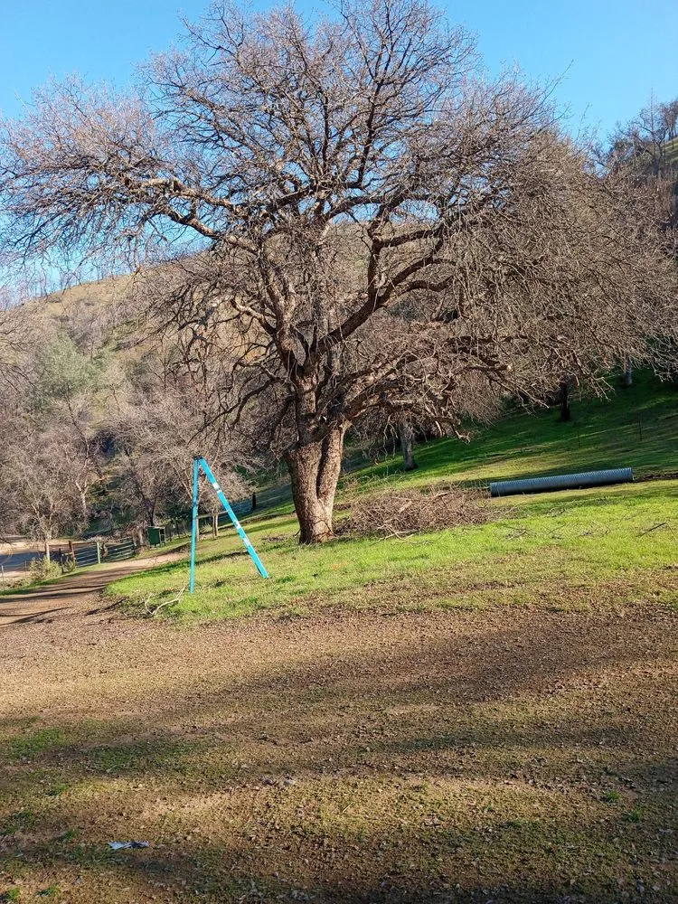 Local residential landscaping in San Francisco, CA by Mendoza's Landscaping Services