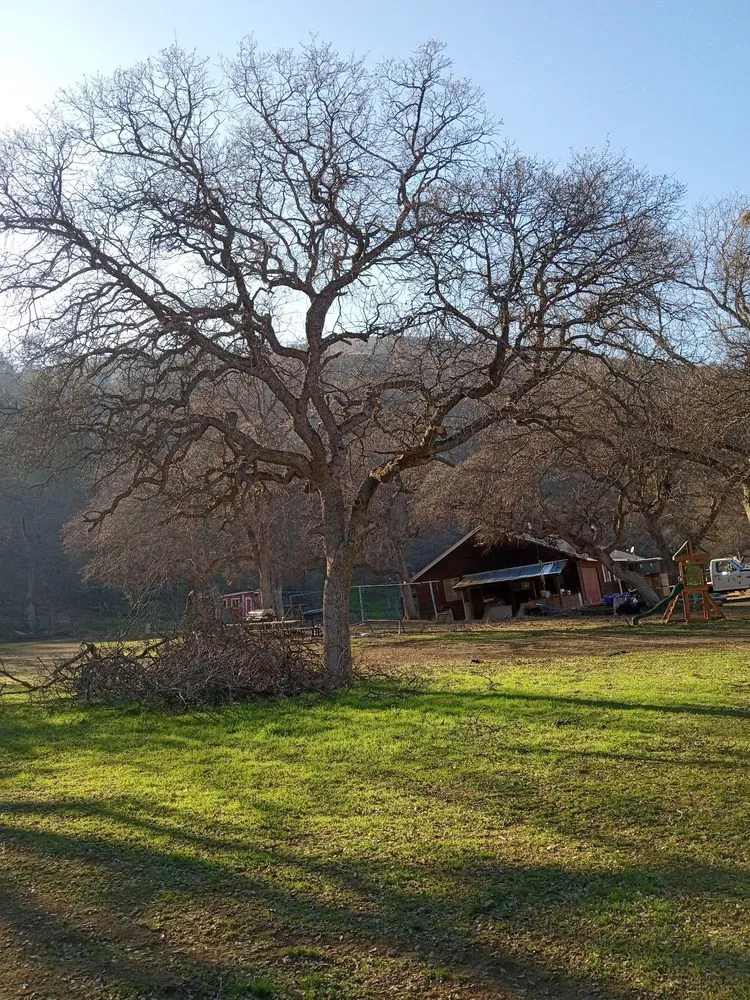 Top-rated yard cleanup service with custom design across San Francisco, CA - Mendoza's Landscaping Services