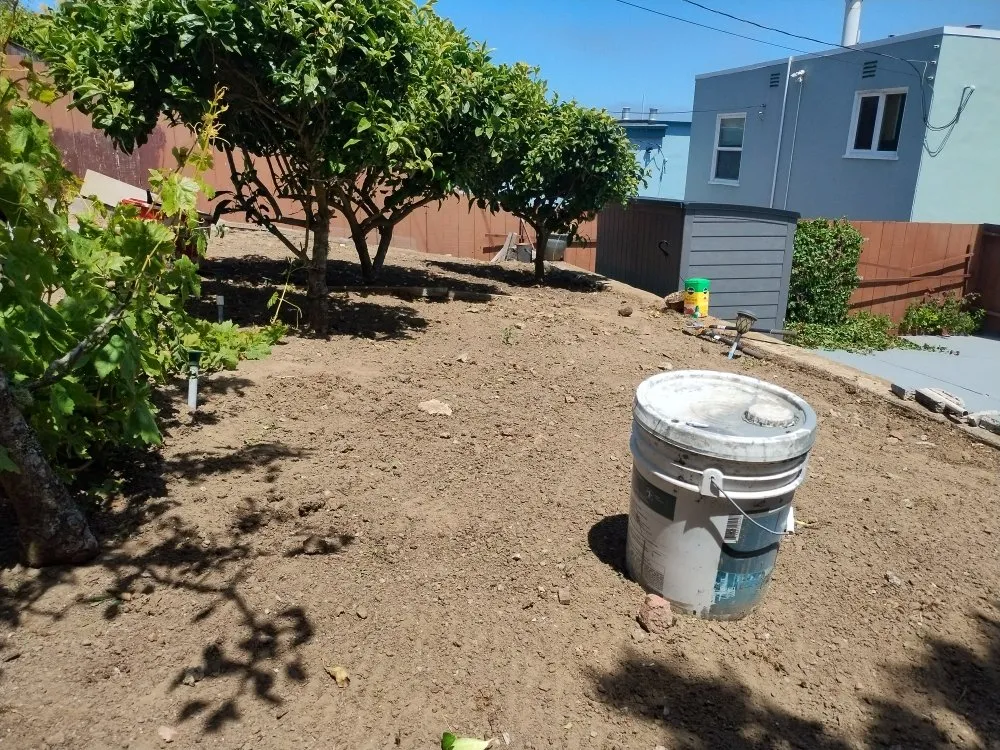 Top-rated landscape installation in San Francisco, CA by Mendoza's Landscaping Services