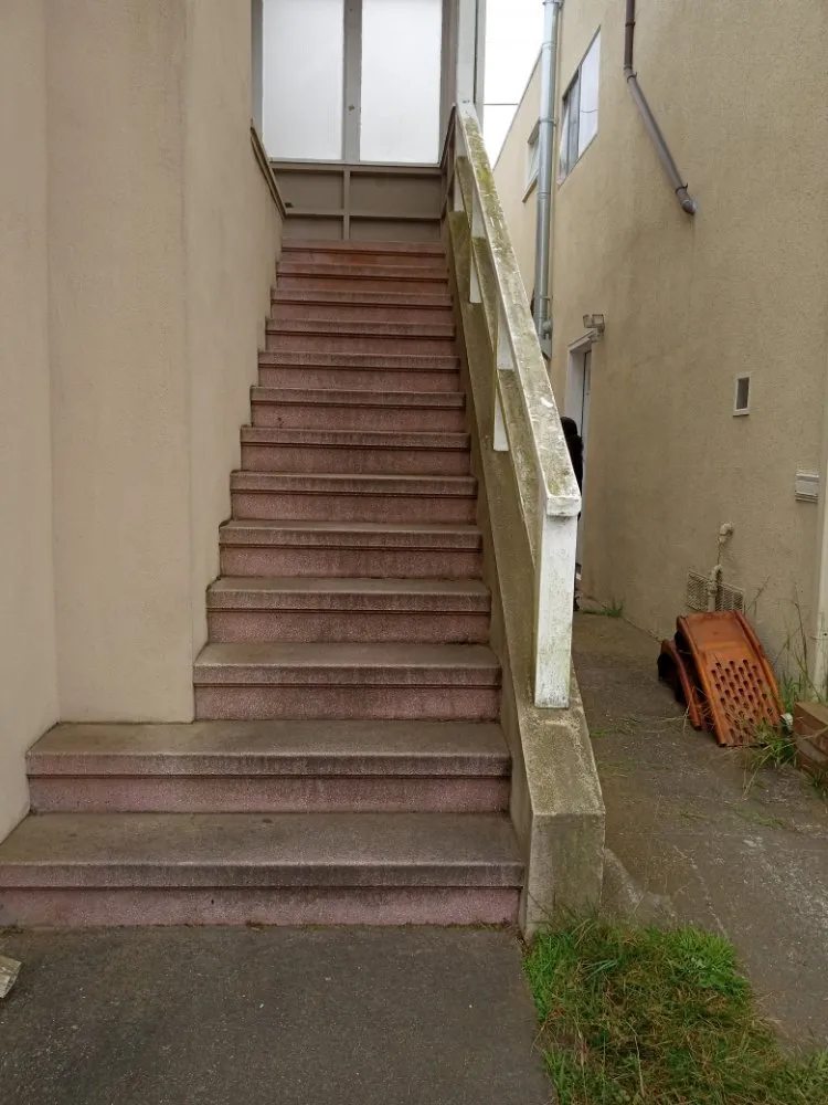 Trusted landscaping services in San Francisco, CA by Mendoza's Landscaping Services