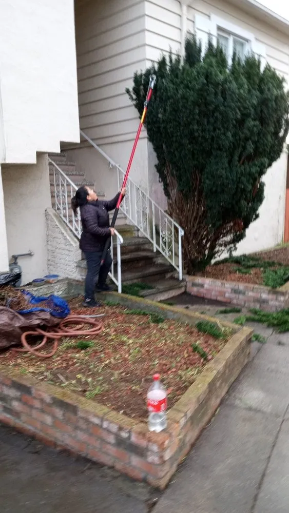 Top-rated lawn care service for beautiful yards across San Francisco, CA - Mendoza's Landscaping Services