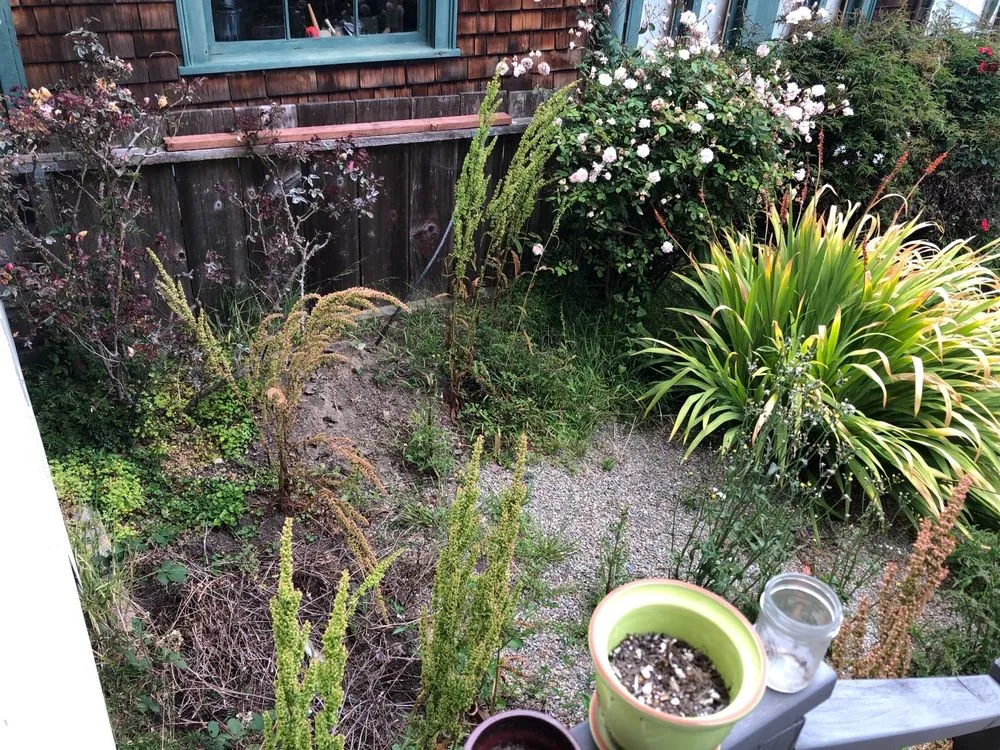 Trusted residential landscaping near you across San Francisco, CA - Mendoza's Landscaping Services