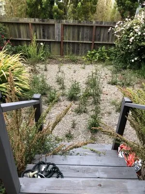 Mendoza's Landscaping Services Logo