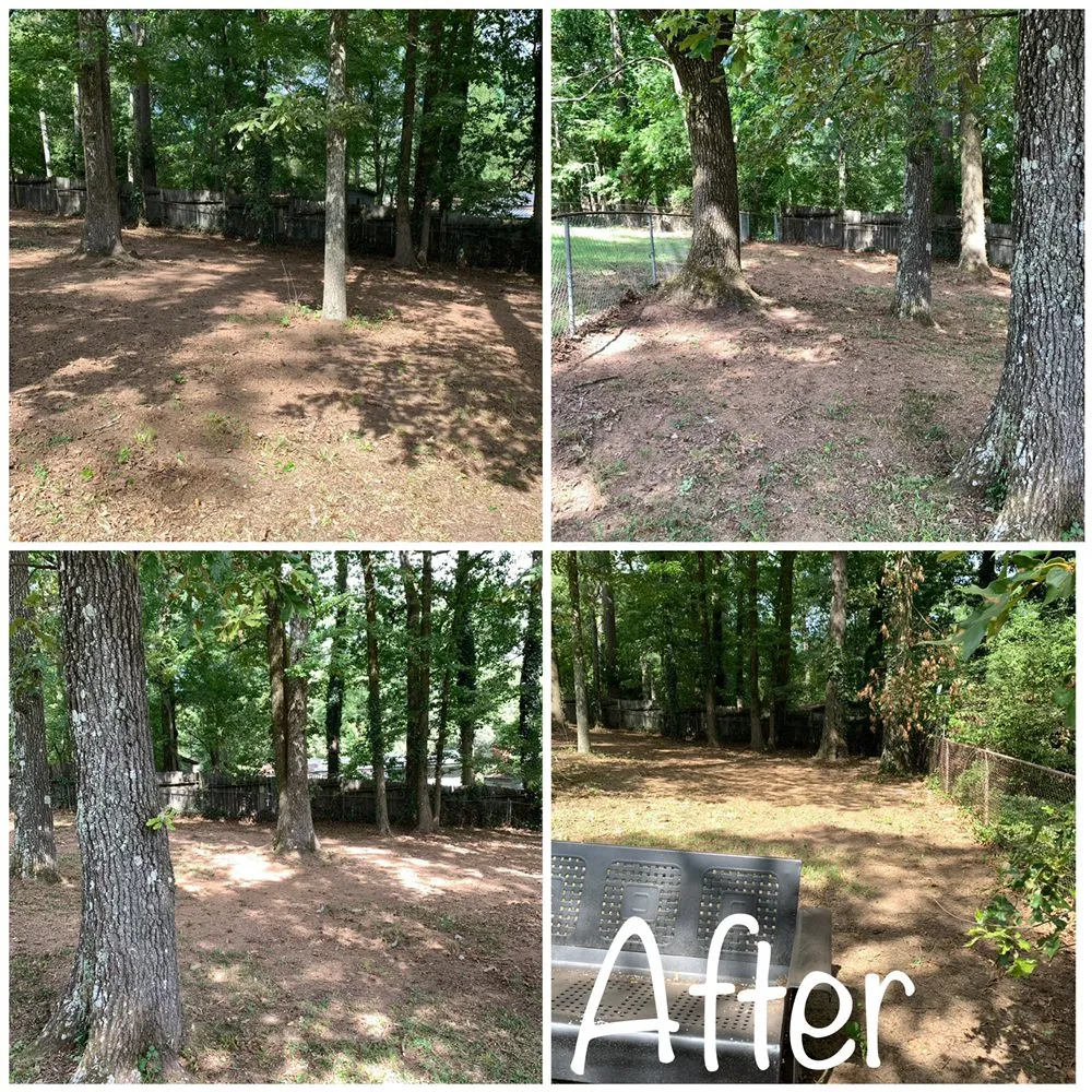 Affordable residential landscaping experts serving Fairfield, AL - Mendoza’s Lawn Care