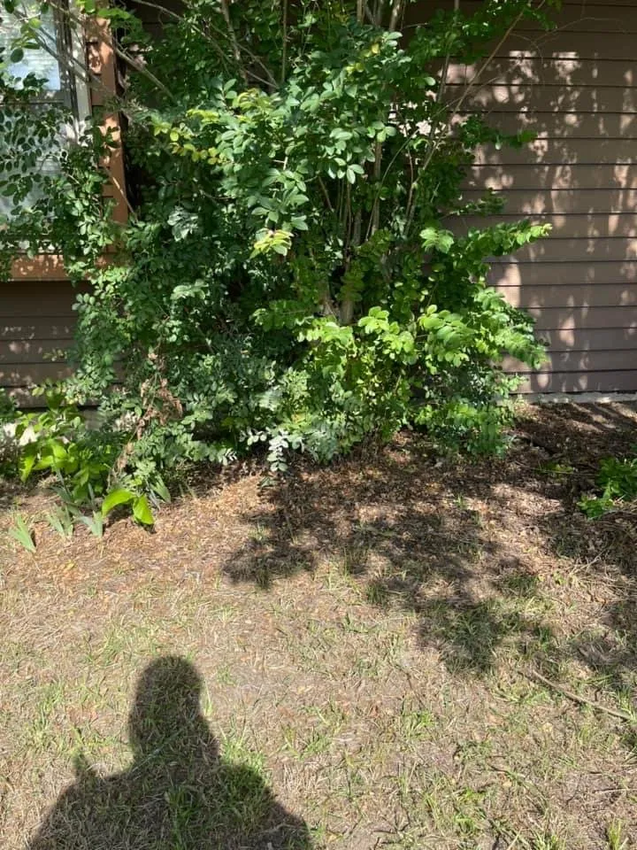 Affordable outdoor landscaping for homes across Teague, TX - Mendoza’s Lawn Maintenance