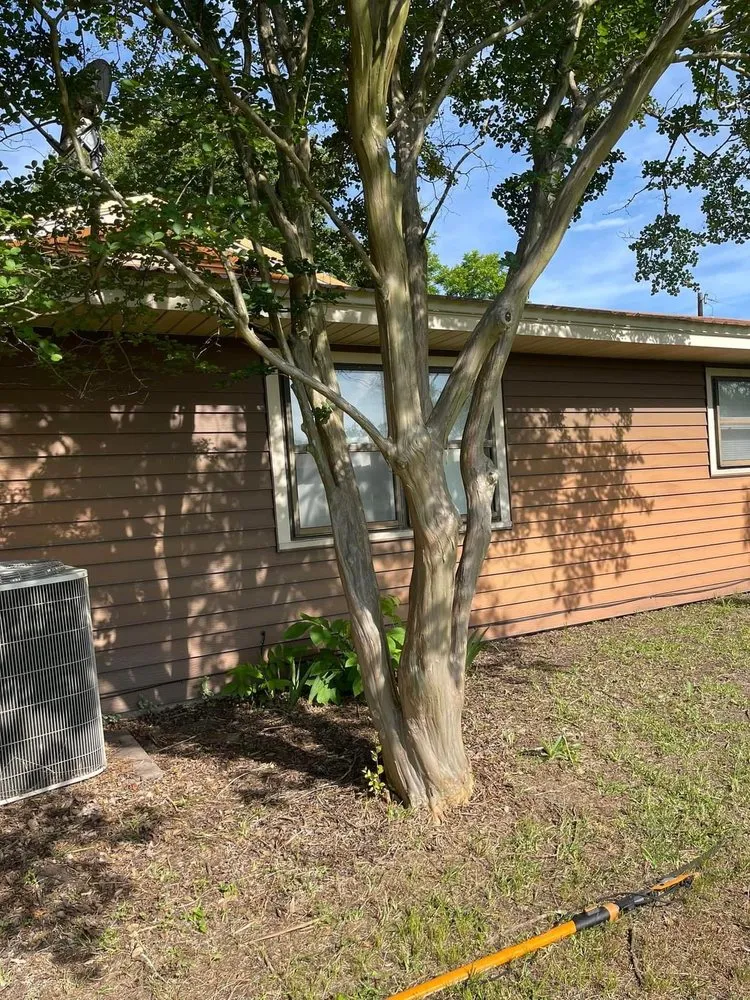 Professional yard cleanup service for beautiful yards across Teague, TX - Mendoza’s Lawn Maintenance