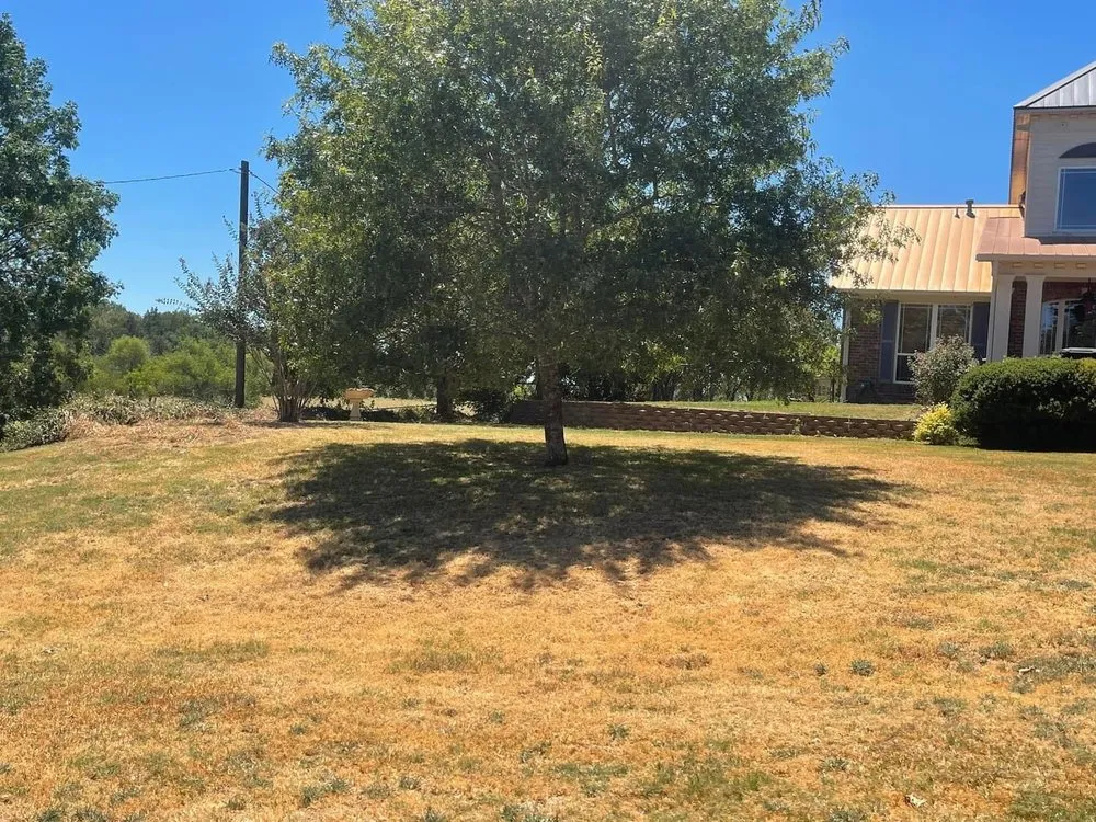 Reliable yard cleanup service near you in Teague, TX by Mendoza’s Lawn Maintenance