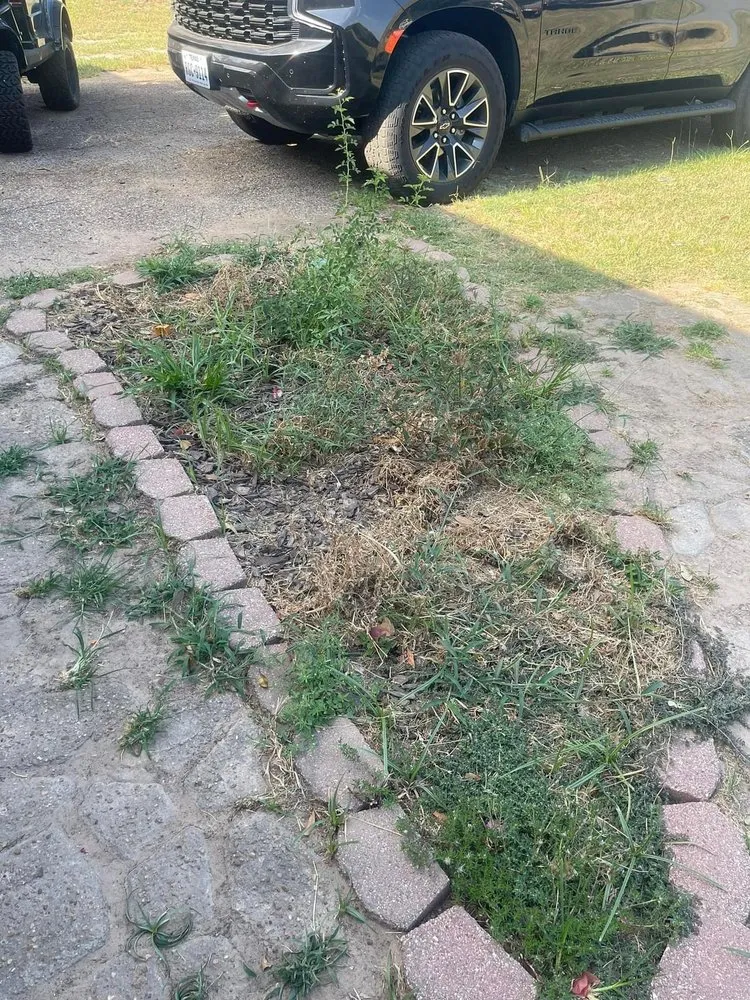 Custom garden landscaping in Teague, TX - Mendoza’s Lawn Maintenance