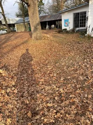 Mendoza’s Lawn Maintenance