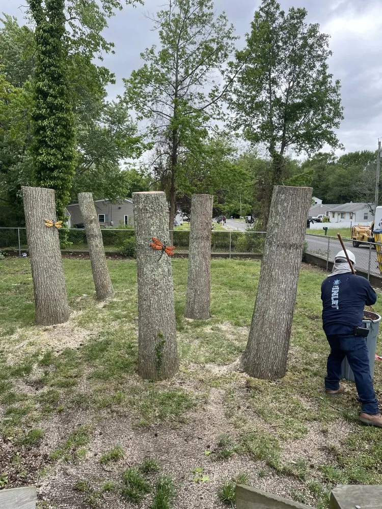 Reliable landscape design experts serving Cape May, NJ - Menear's Landscaping & Tree Service