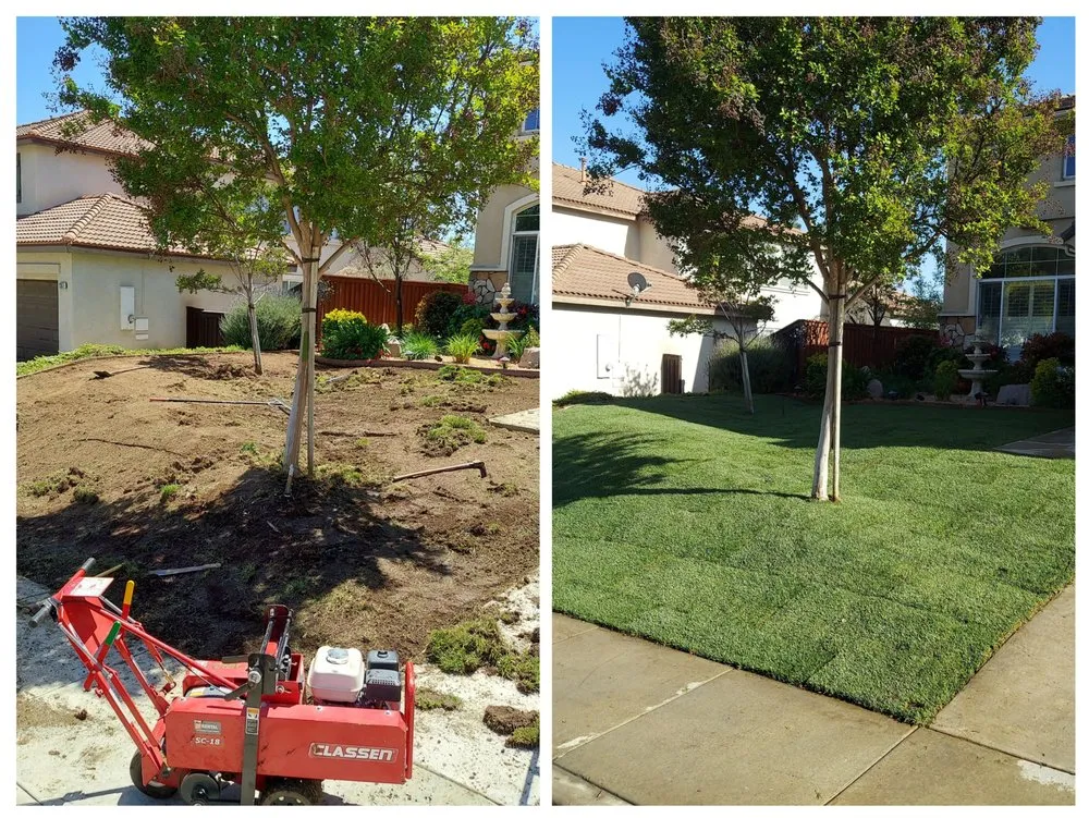 Local yard cleanup service in Menifee, CA - Menifee Gardening & Sprinkler Repair
