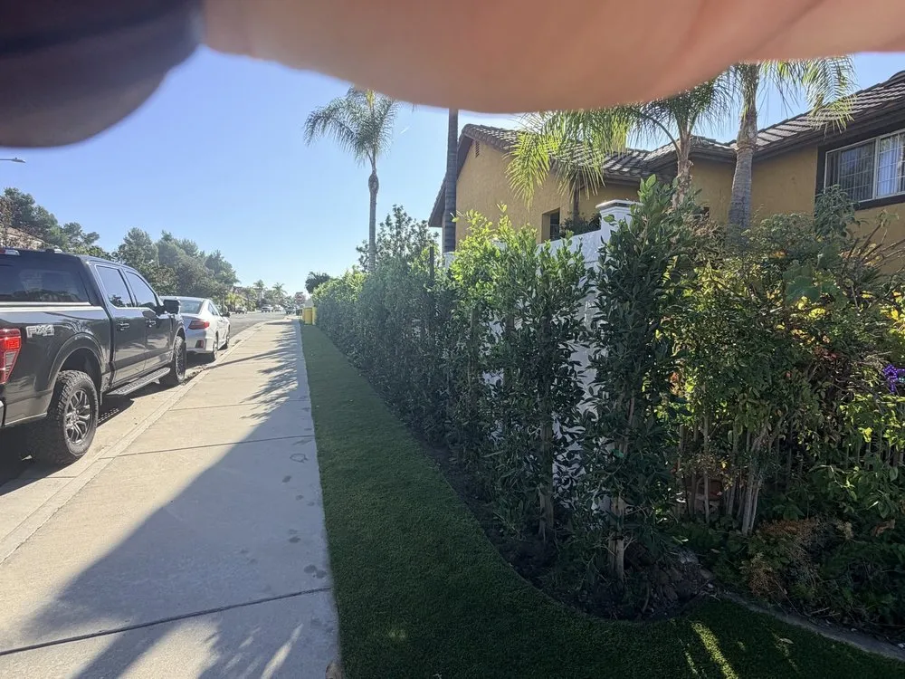 Reliable outdoor landscaping for outdoor upgrades across Menifee, CA - Menifee Valley Landscape