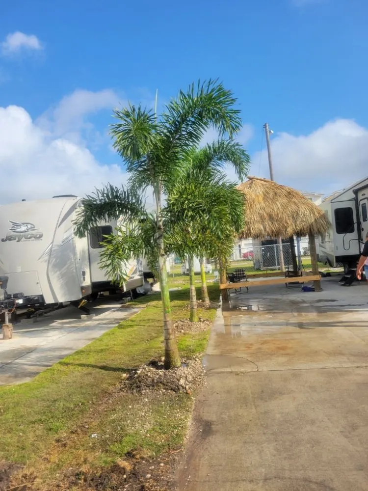 Custom lawn care service for beautiful yards in Homestead, FL by Menjivar Landscape Tiki Hut