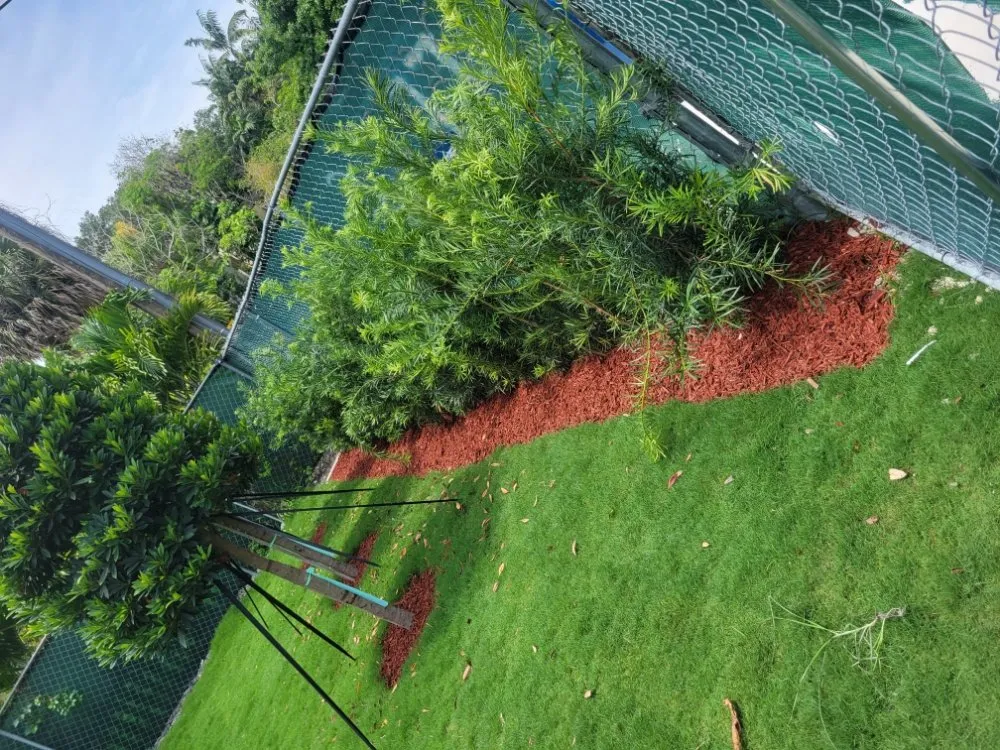 Trusted lawn care service in Homestead, FL - Menjivar Landscape Tiki Hut