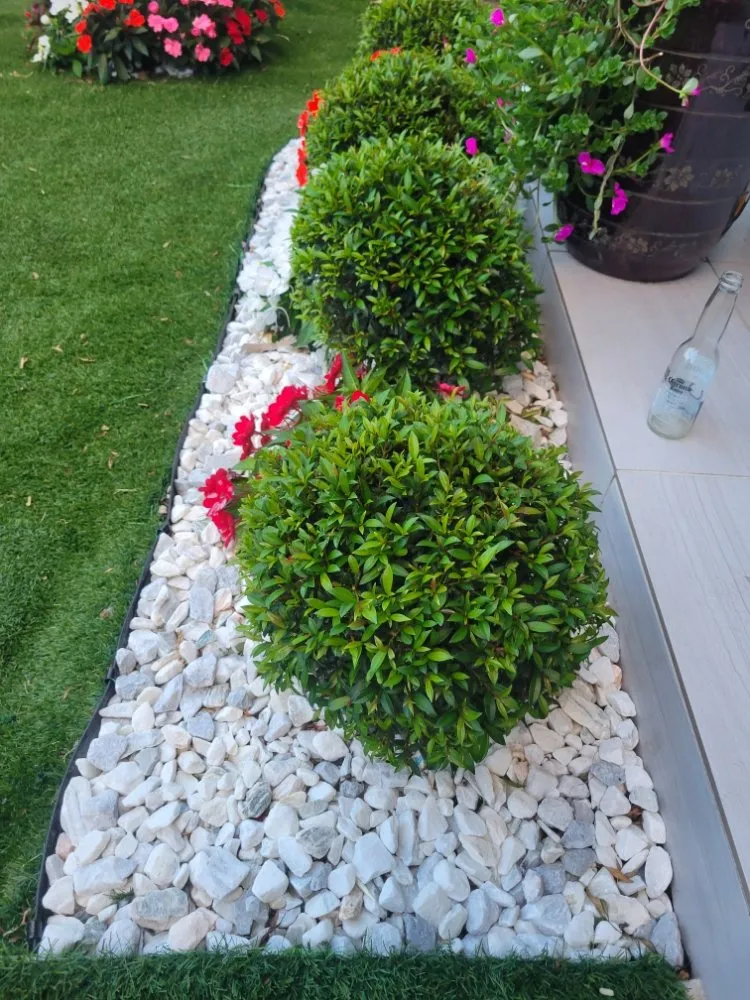 Affordable landscape design in Homestead, FL - Menjivar Landscape Tiki Hut
