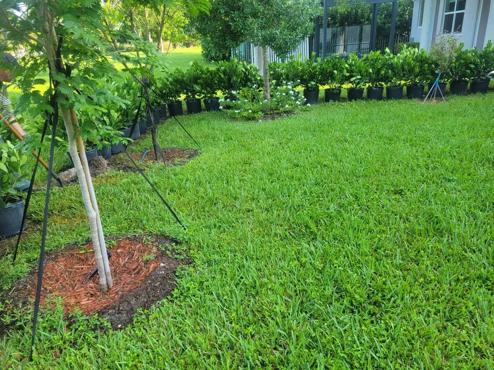 Affordable landscape installation with custom design in Homestead, FL by Menjivar Landscape Tiki Hut
