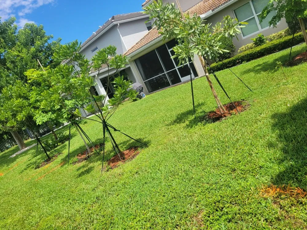 Professional yard cleanup service near you in Homestead, FL by Menjivar Landscape Tiki Hut