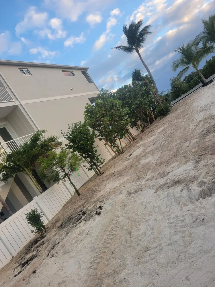 Affordable landscaping services in Homestead, FL by Menjivar Landscape Tiki Hut