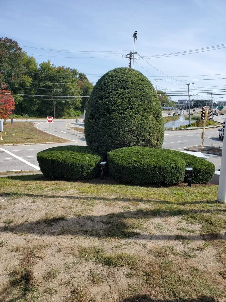 Top-rated residential landscaping in Waltham, MA - Menjivar Lanscaping