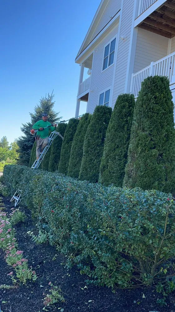 Expert garden landscaping with custom design across Waltham, MA - Menjivar Lanscaping