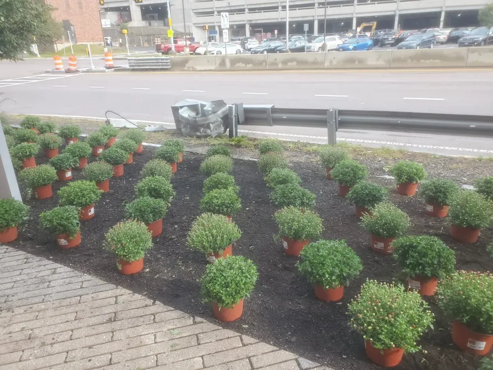 Professional garden landscaping experts serving Waltham, MA - Menjivar Lanscaping