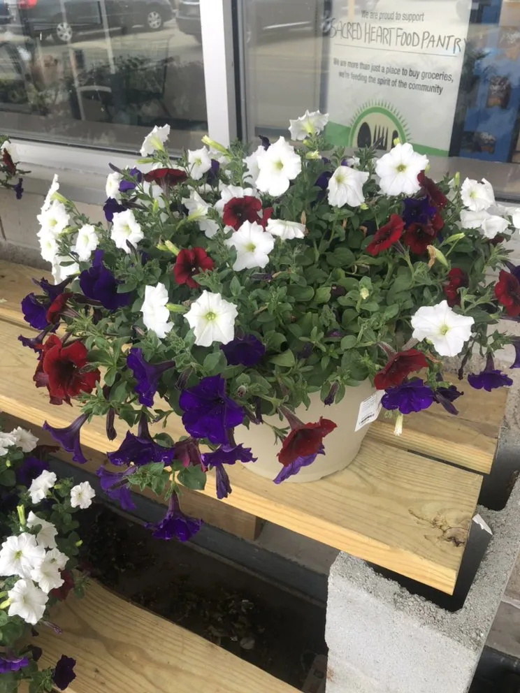 Top-rated garden landscaping experts serving Waltham, MA - Menjivar Lanscaping