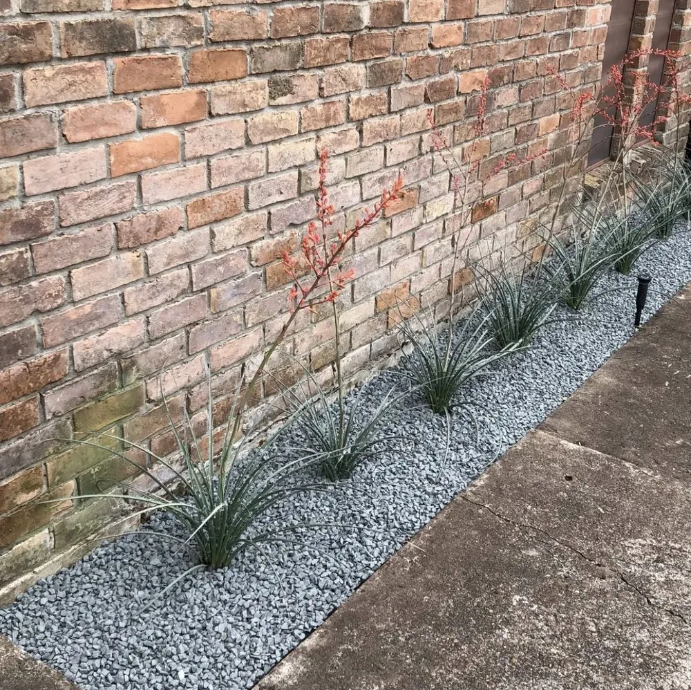 Affordable landscape design for beautiful yards across Houston, TX - Menjivar's Landscaping