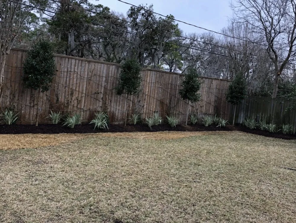 Affordable lawn care service experts serving Houston, TX - Menjivar's Landscaping