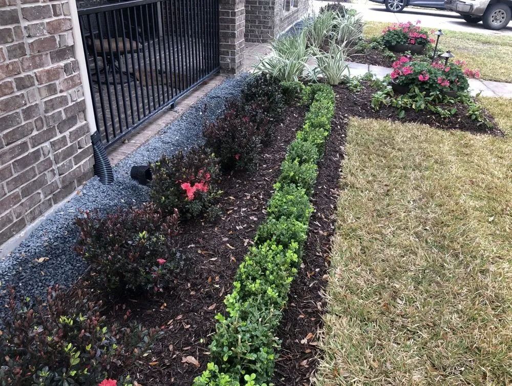 Trusted yard cleanup service experts serving Houston, TX - Menjivar's Landscaping
