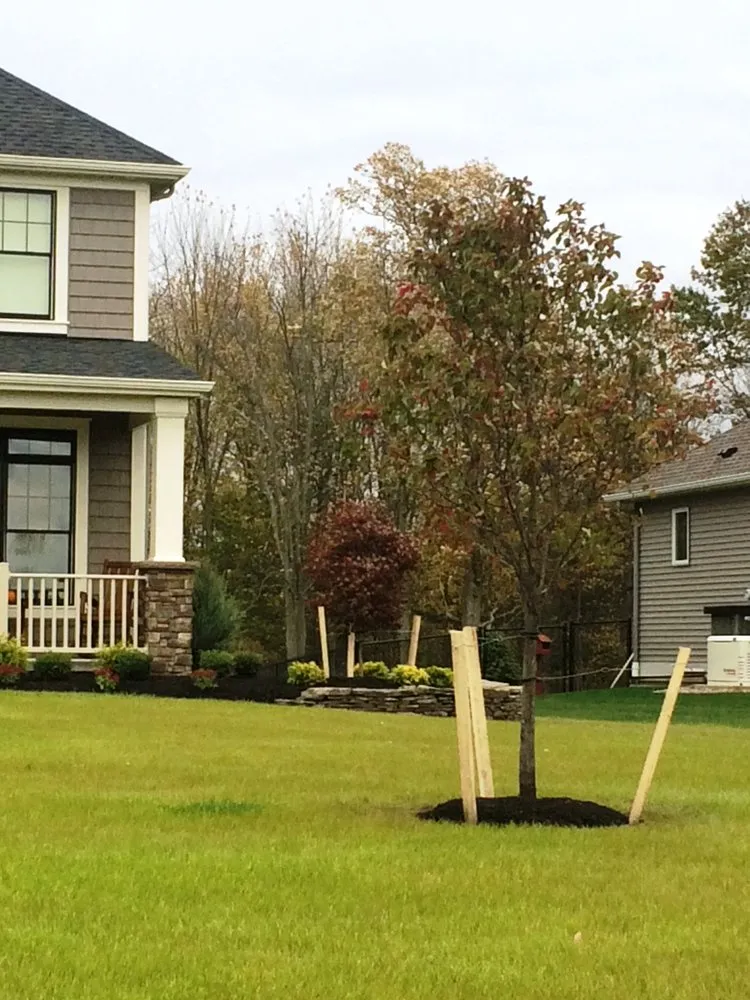 Professional lawn mowing service near you in East Amherst, NY by Menne Garden Artistry