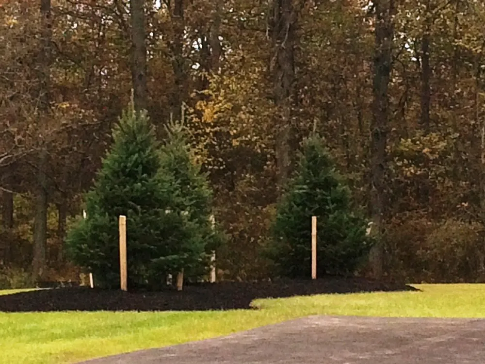 Local lawn care service experts serving East Amherst, NY - Menne Garden Artistry