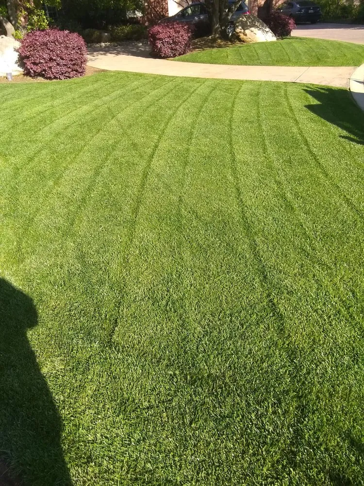 Top-rated landscape installation experts serving Modesto, CA - Menos Lawn Yard