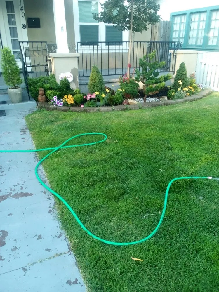 Professional residential landscaping for beautiful yards across Modesto, CA - Menos Lawn Yard
