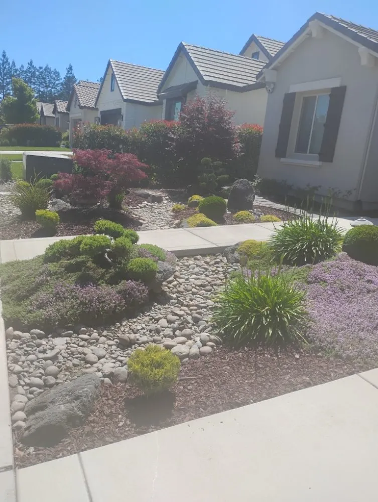 Expert landscape design in Modesto, CA by Menos Lawn Yard