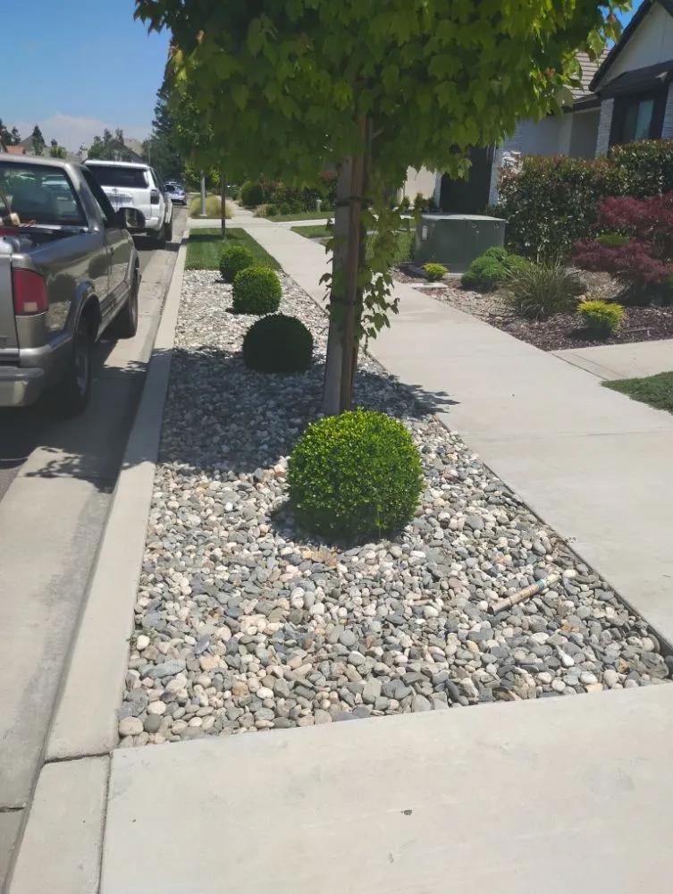 Top-rated outdoor landscaping for residential properties in Modesto, CA by Menos Lawn Yard