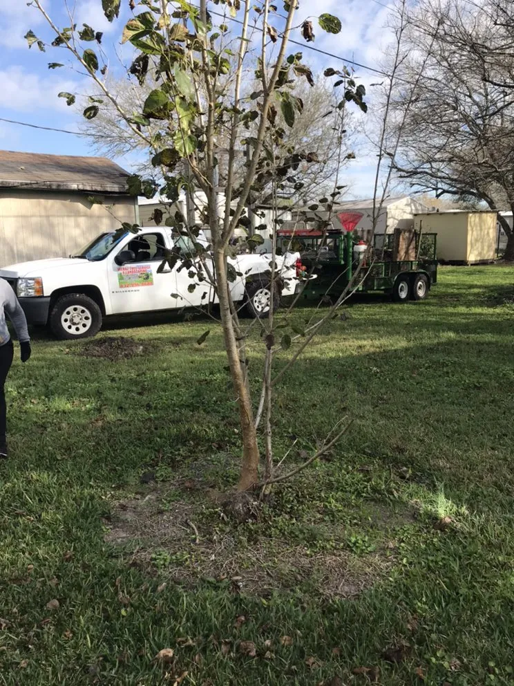 Local garden landscaping experts serving Dickinson, TX - Menoz Tree Service & Landscaping