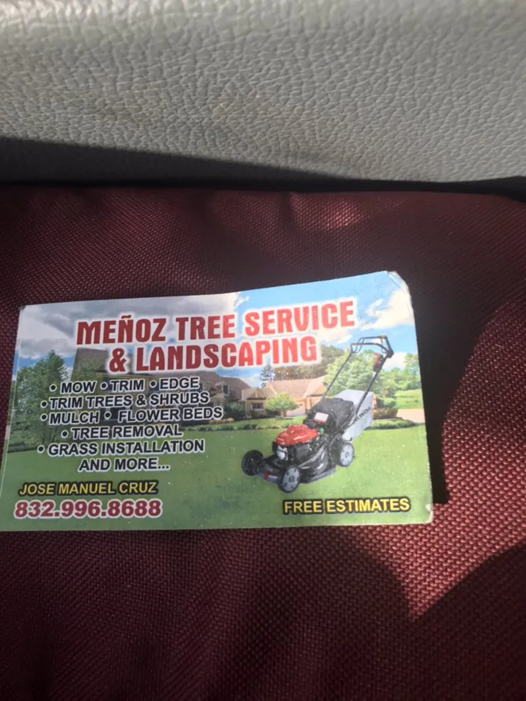 Affordable yard maintenance for outdoor upgrades in Dickinson, TX by Menoz Tree Service & Landscaping