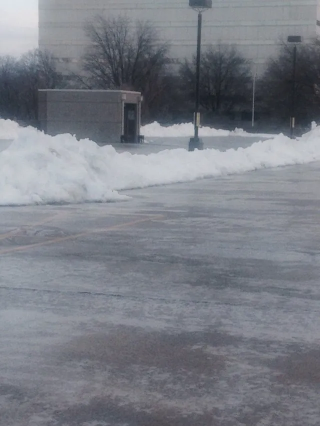 Professional landscape design in Ashburn, VA by Menri Landscaping