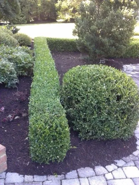 Local residential landscaping in Ashburn, VA by Menri Landscaping