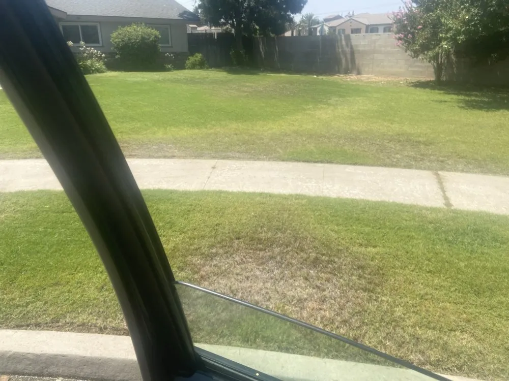 Reliable landscaping services experts serving Bakersfield, CA - Mente Cuts Grass