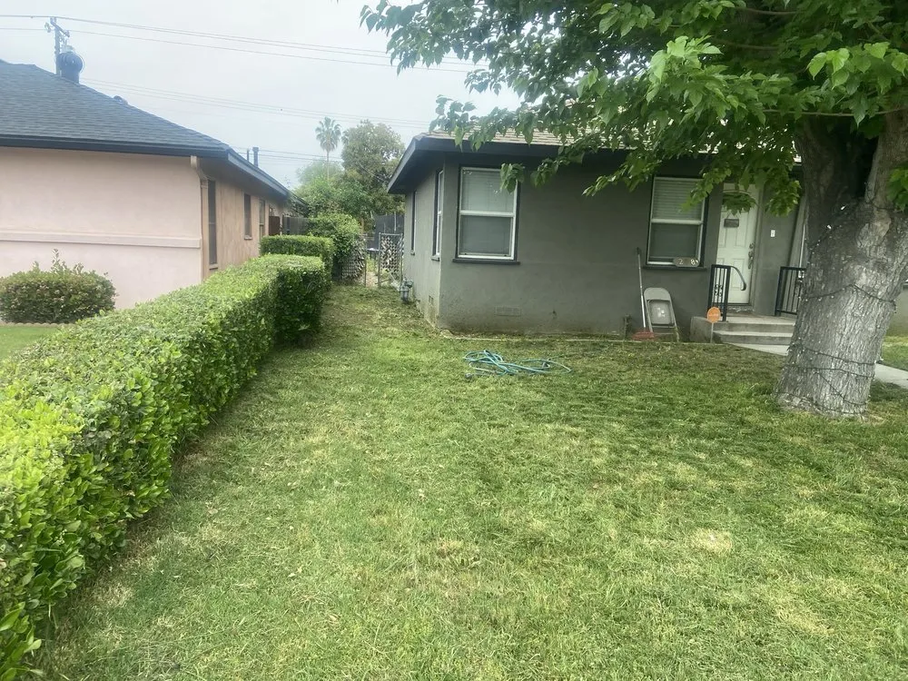 Expert outdoor landscaping in Bakersfield, CA - Mente Cuts Grass