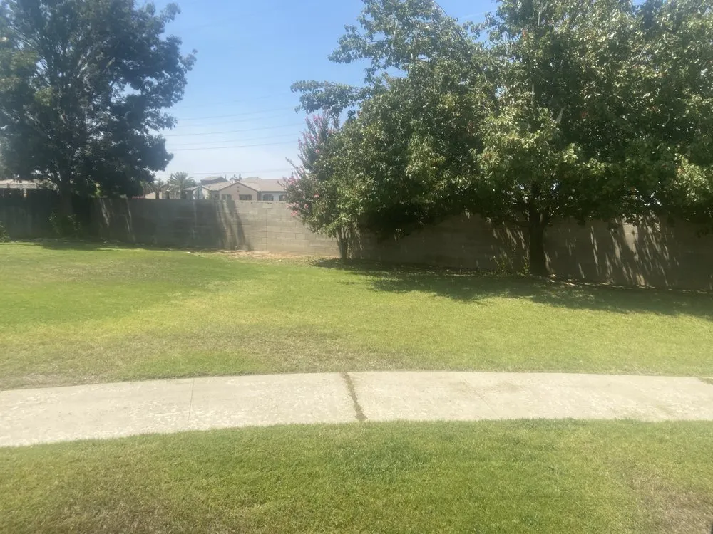 Affordable landscape design experts serving Bakersfield, CA - Mente Cuts Grass