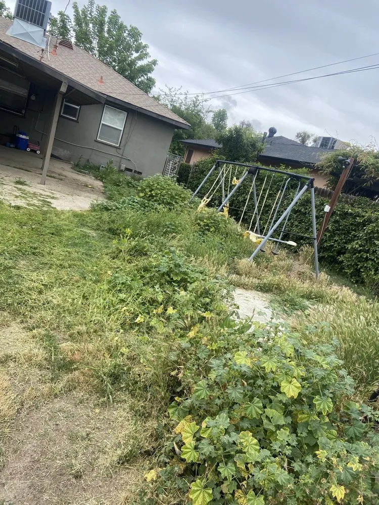 Custom outdoor landscaping in Bakersfield, CA by Mente Cuts Grass