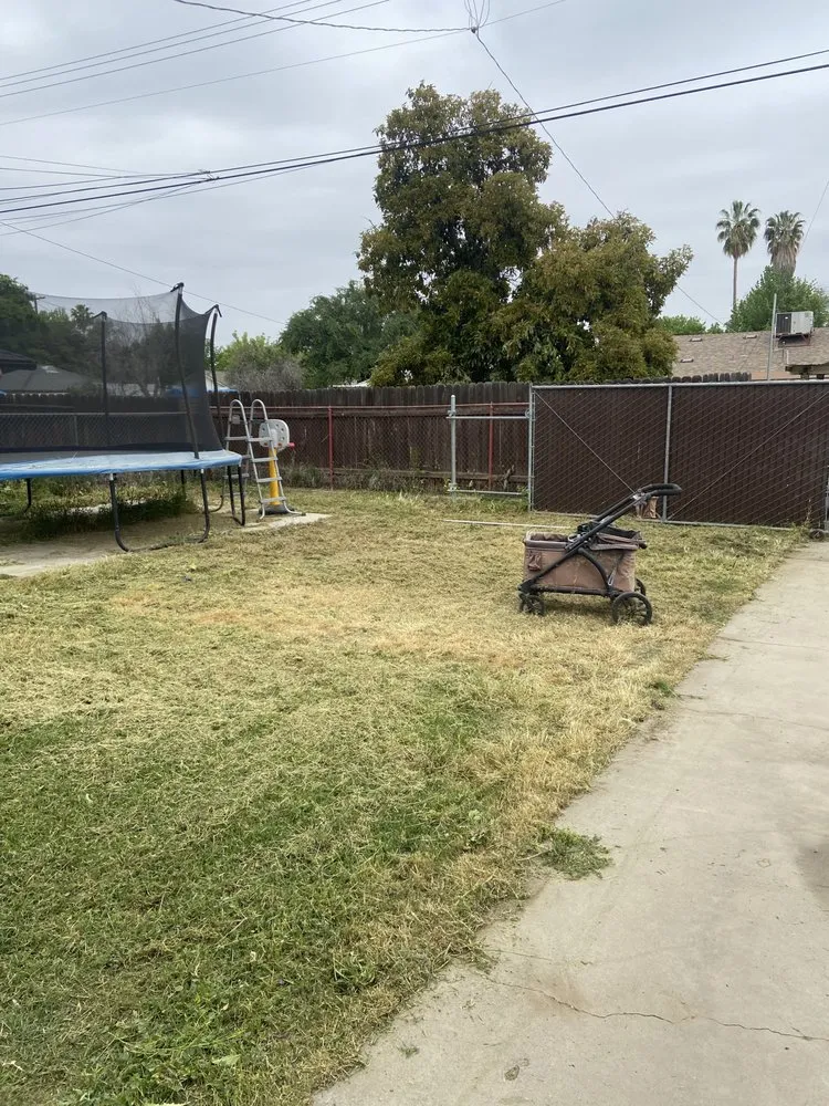 Reliable outdoor landscaping experts serving Bakersfield, CA - Mente Cuts Grass