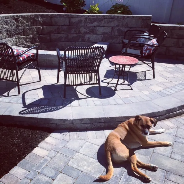 Affordable landscaping services for year-round maintenance across Braintree, MA - Mento Landscaping & Paving