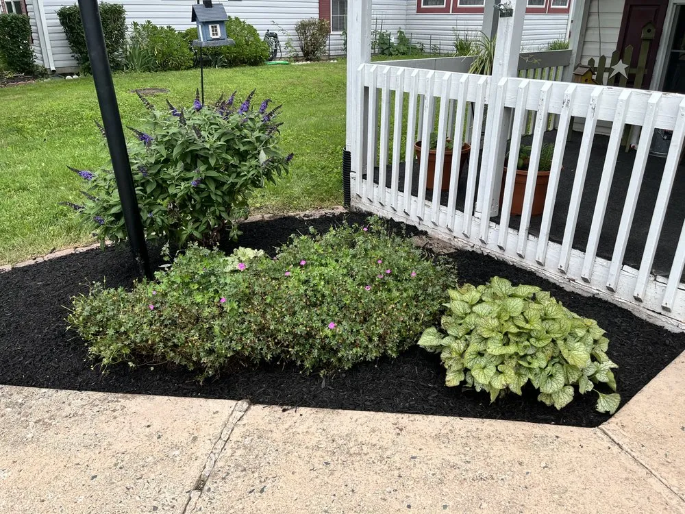 Custom landscape design experts serving Perkasie, PA - Menzen & Company