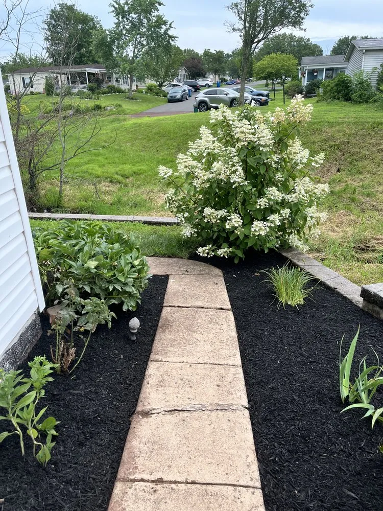 Custom yard cleanup service experts serving Perkasie, PA - Menzen & Company