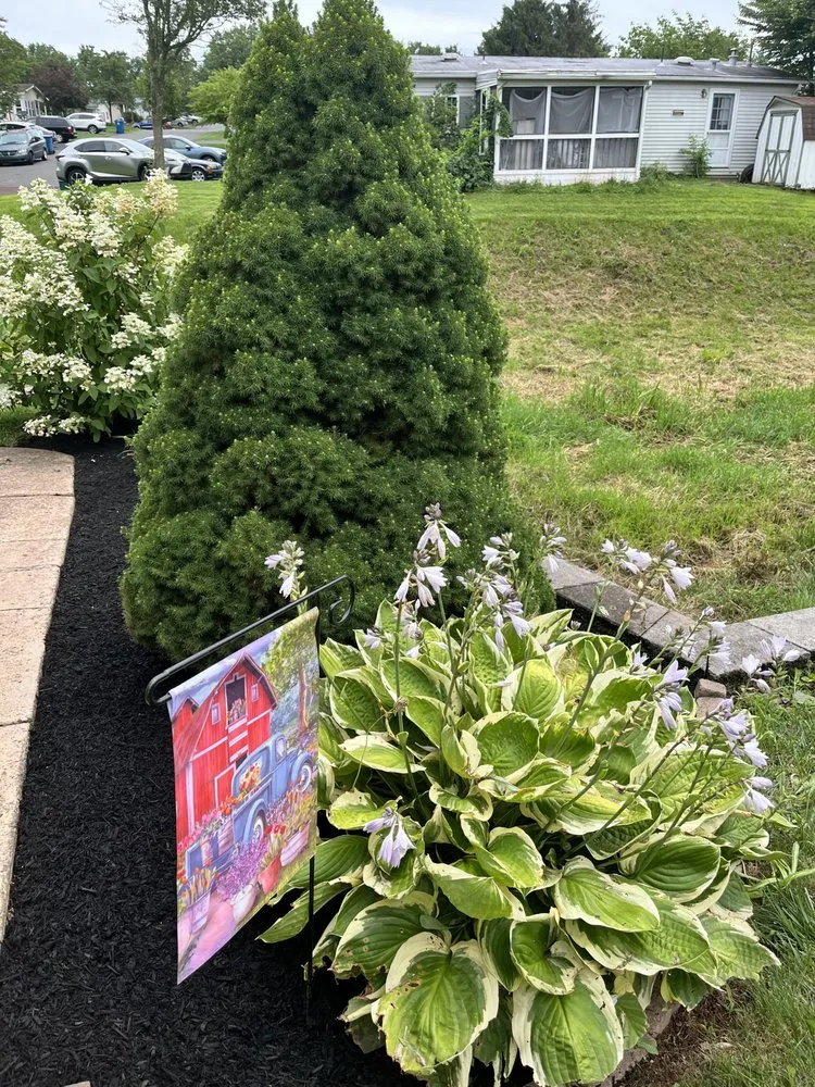 Trusted lawn mowing service experts serving Perkasie, PA - Menzen & Company